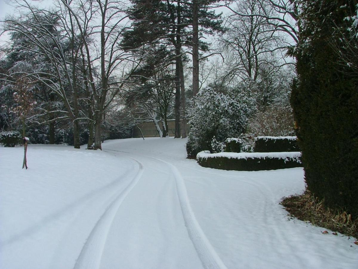 Chateau Des Charmes Guereins Exterior foto