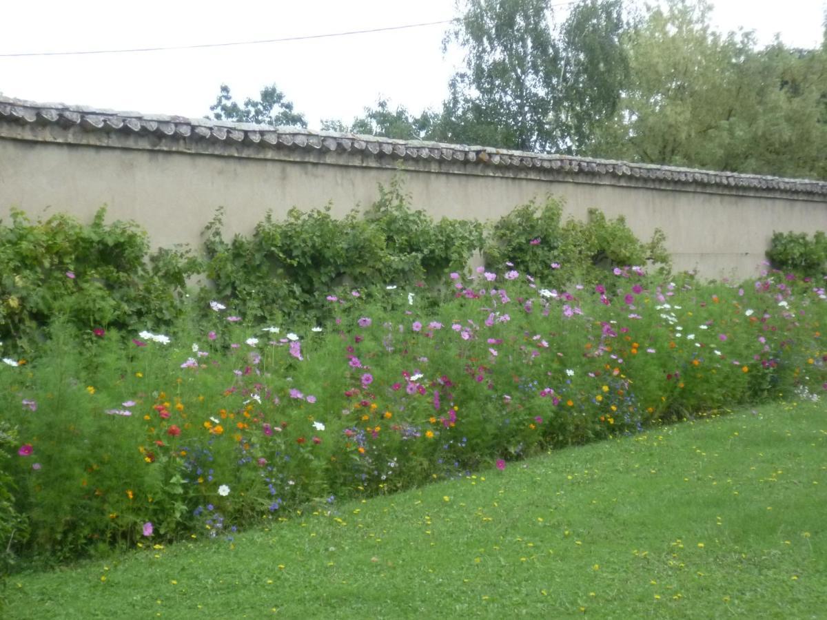 Chateau Des Charmes Guereins Exterior foto